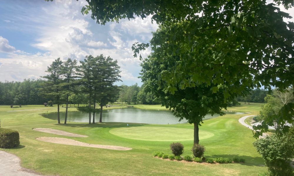 Vert de golf bordé d'arbres avec plan d'eau