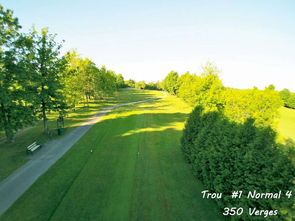 Allée de golf bordée d'arbres